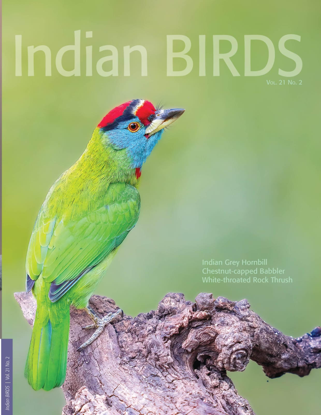 IB_21_2_FrontCover
