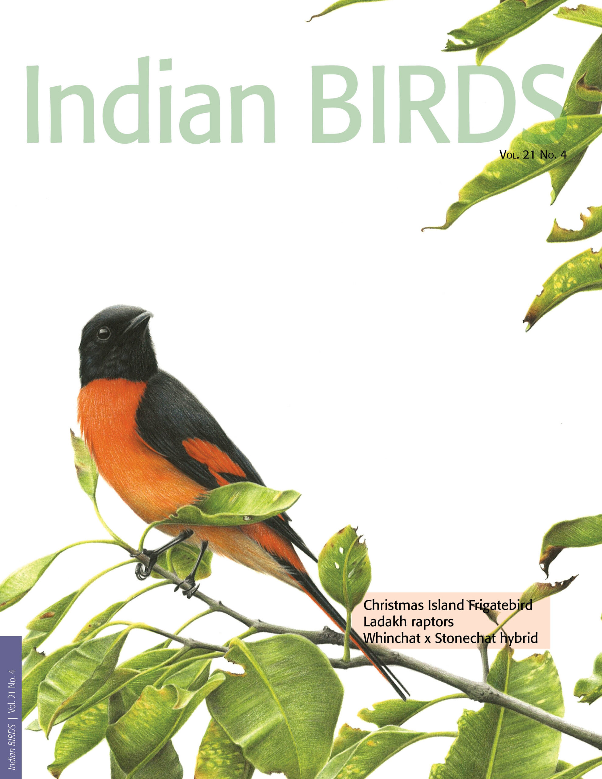 IB_21_4_FrontCover